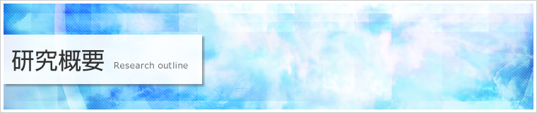 研究概要