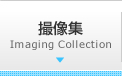 撮像集