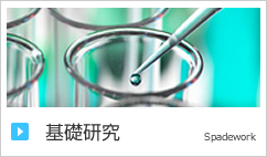 基礎研究