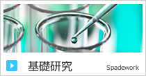 基礎研究