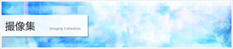 撮像集